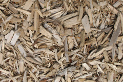 biomass boilers Dyers Common